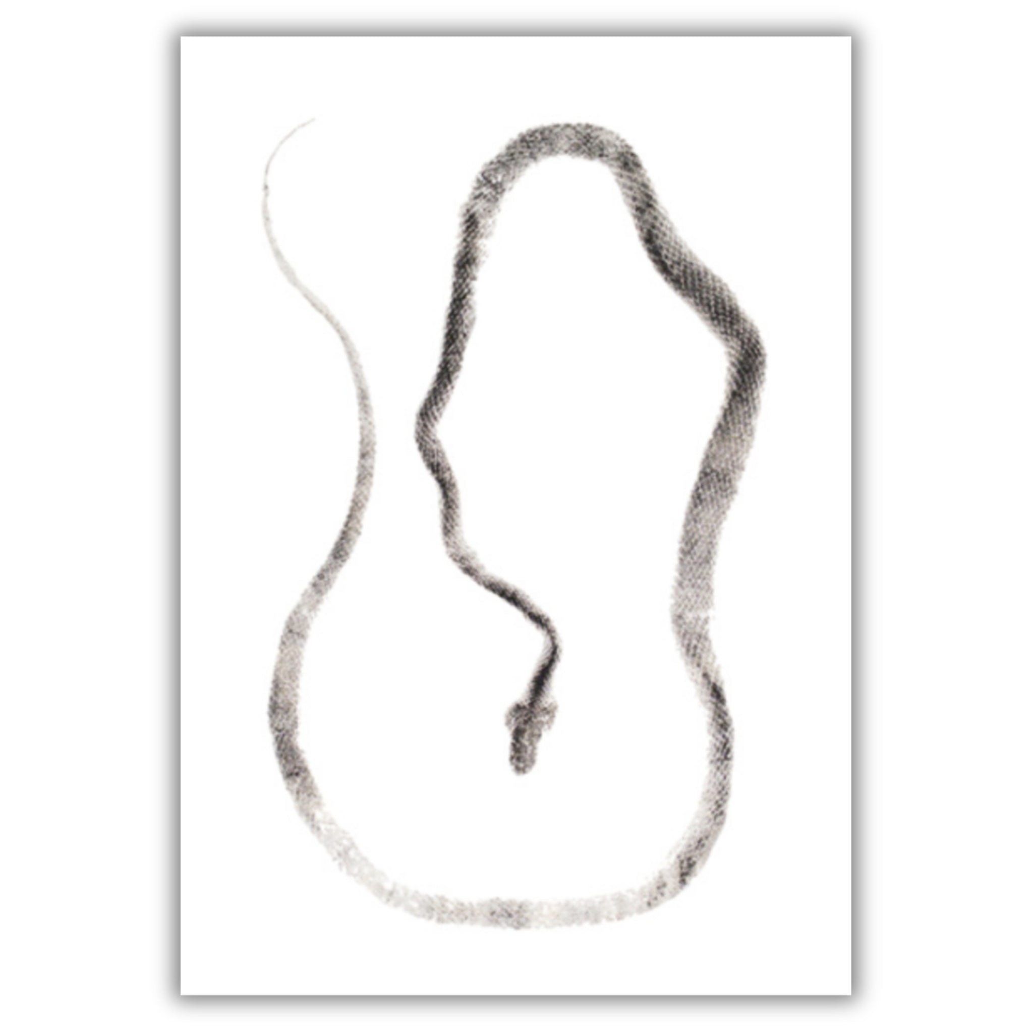 Fine Art Notecards