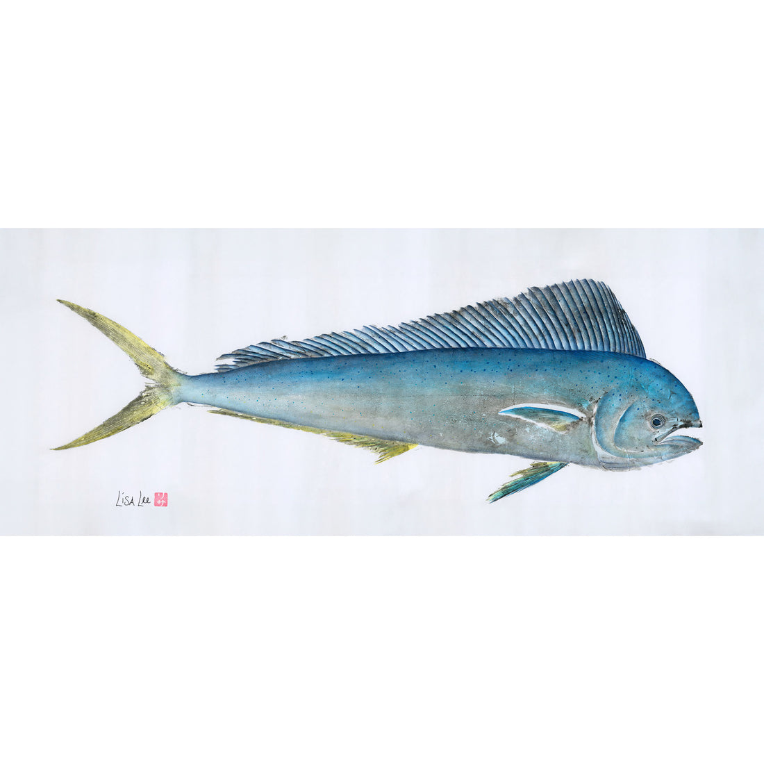 Blue Mahi