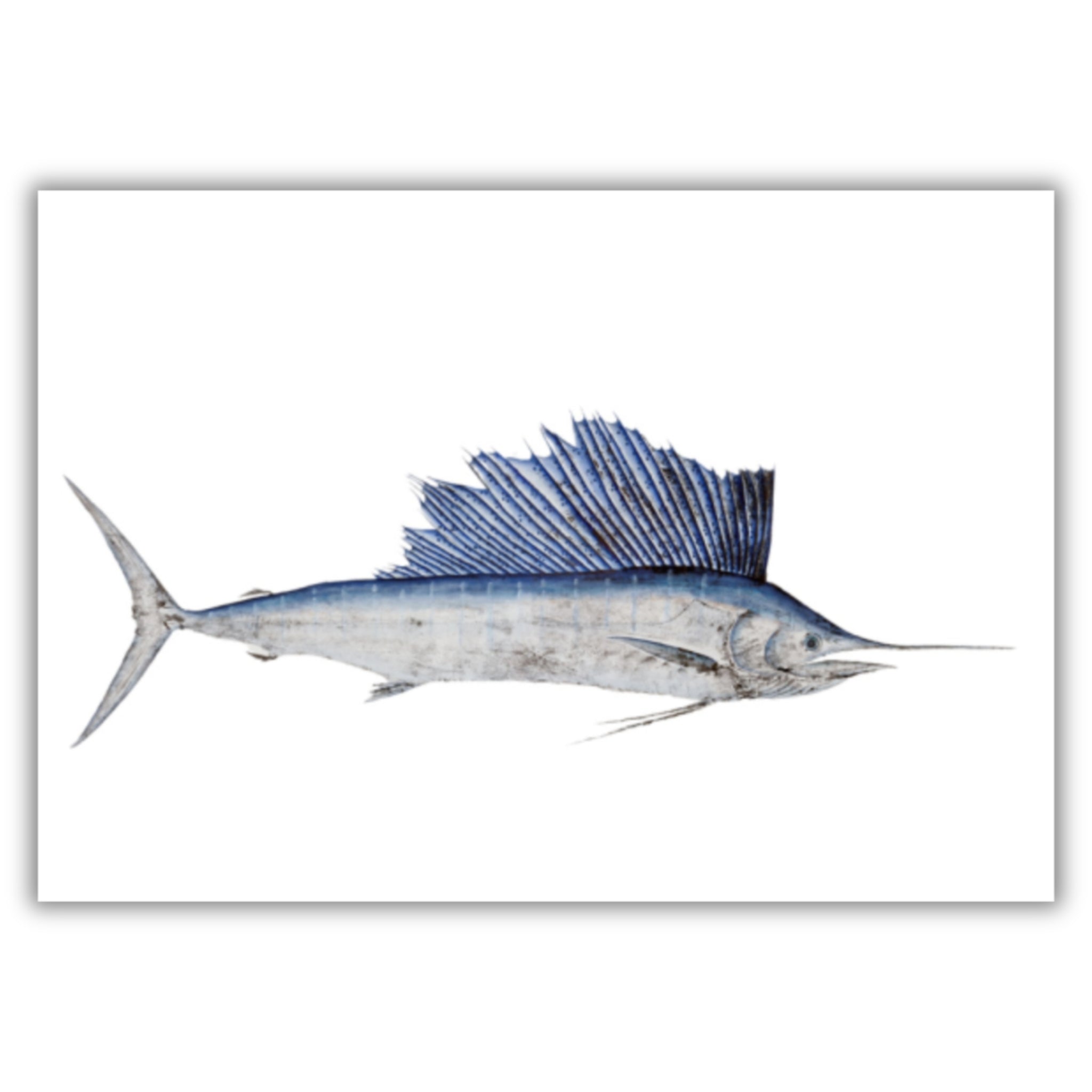 Fine Art Notecards