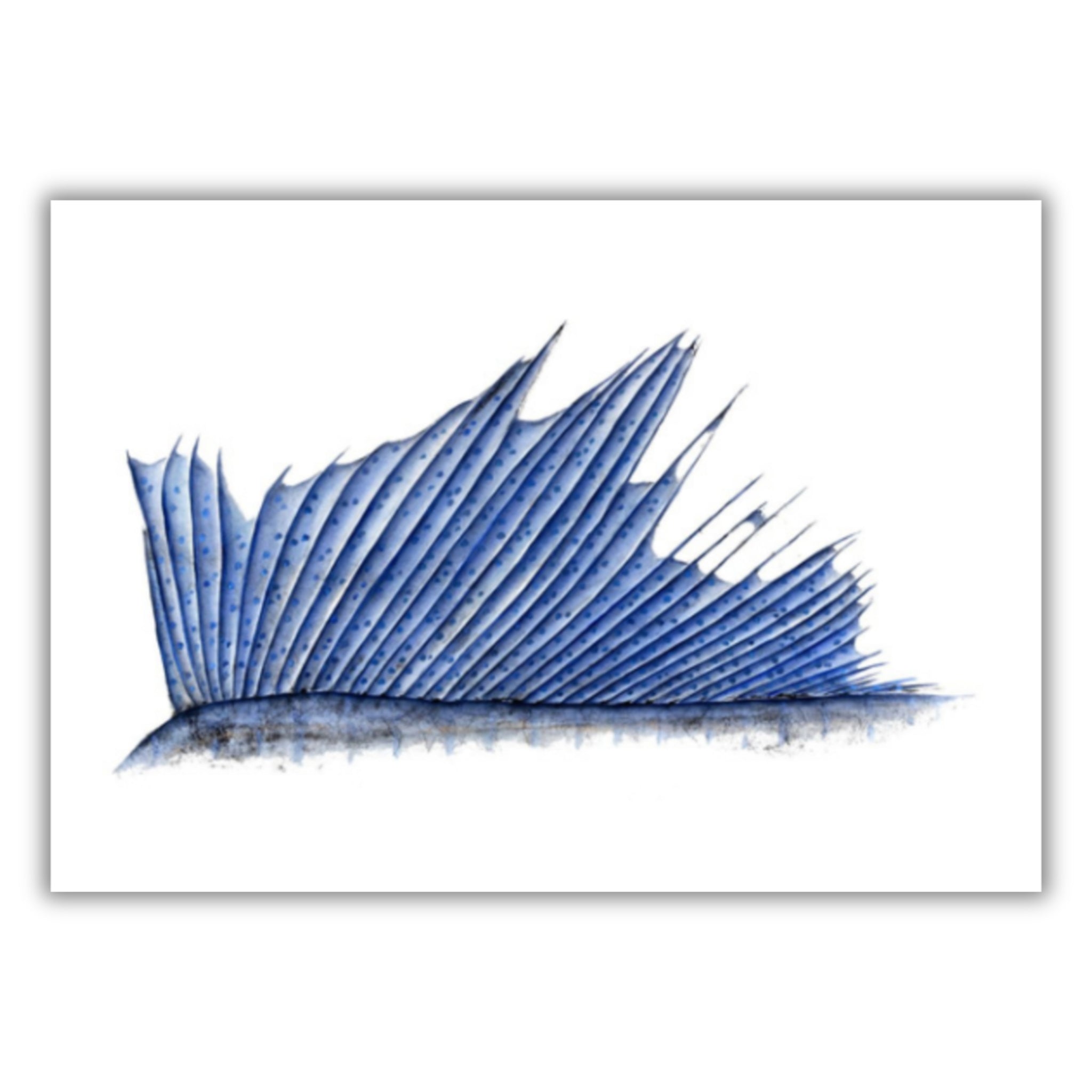 Fine Art Notecards