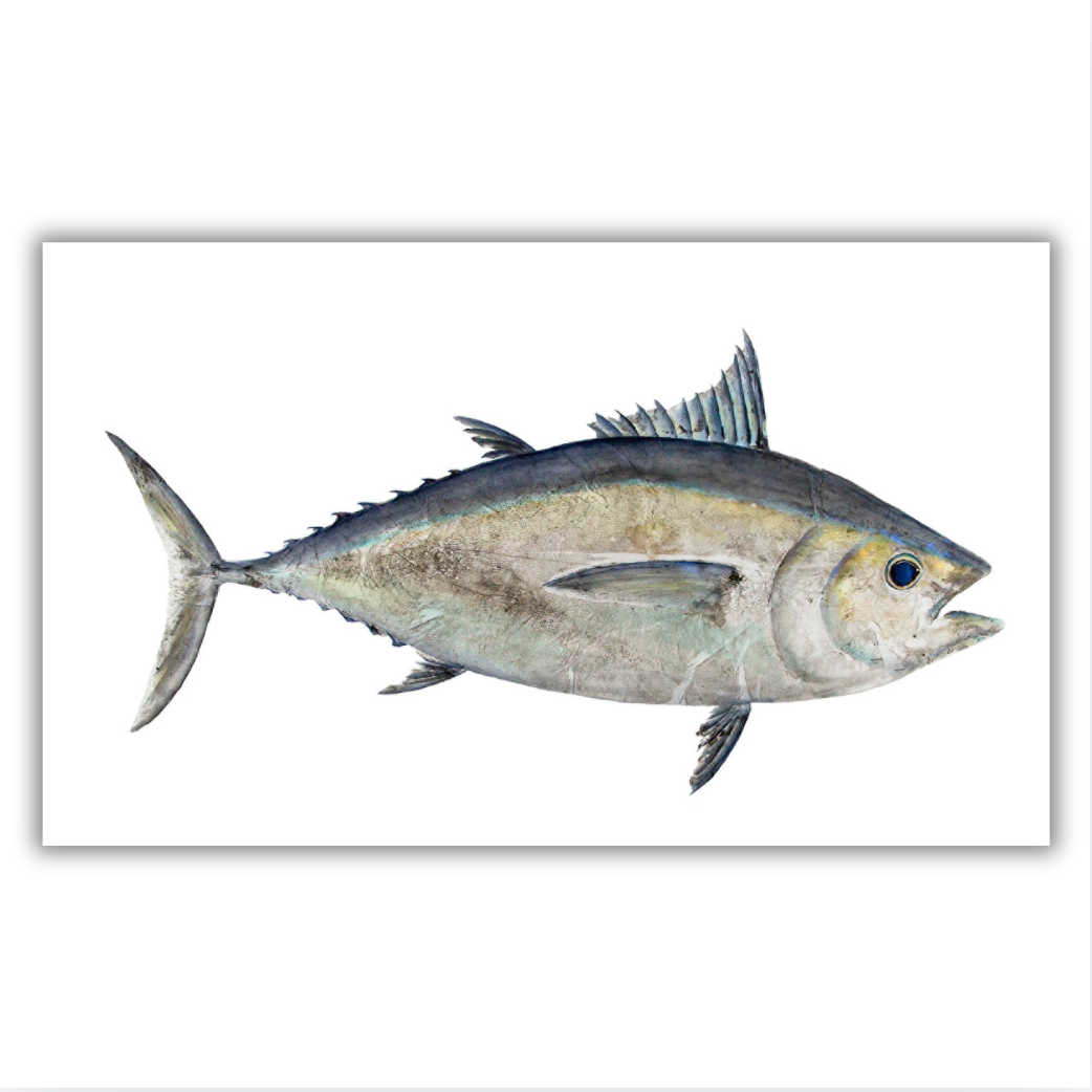 Fine Art Notecards