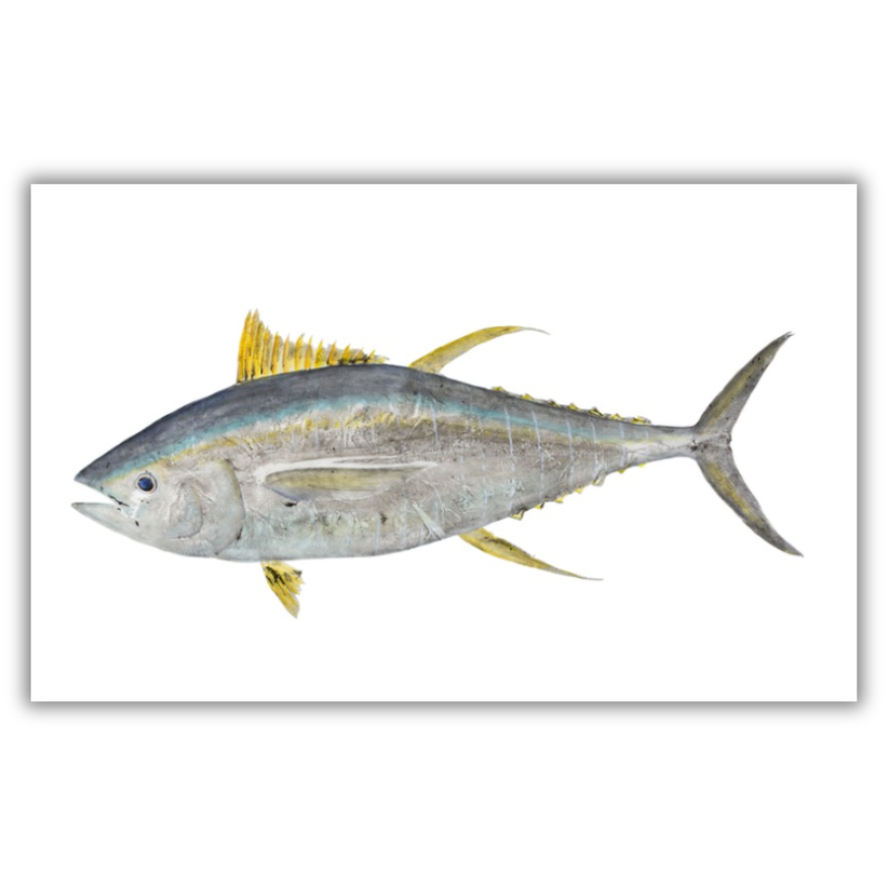 Fine Art Notecards