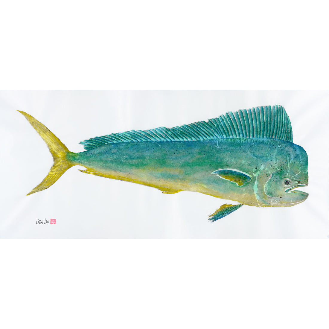 Bull Mahi