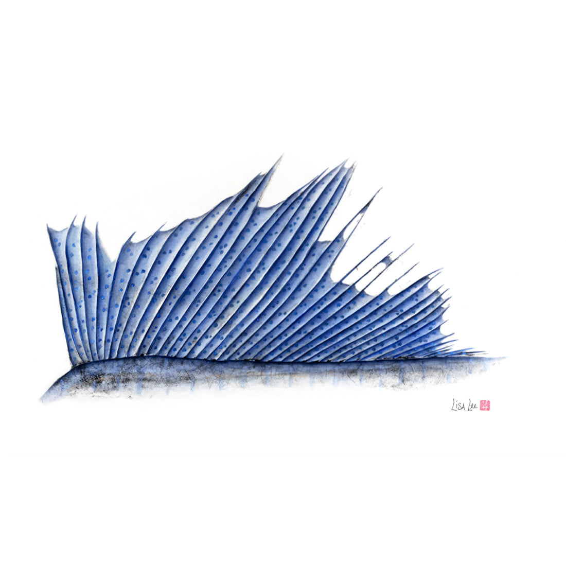 Sailfish Dorsal Fin