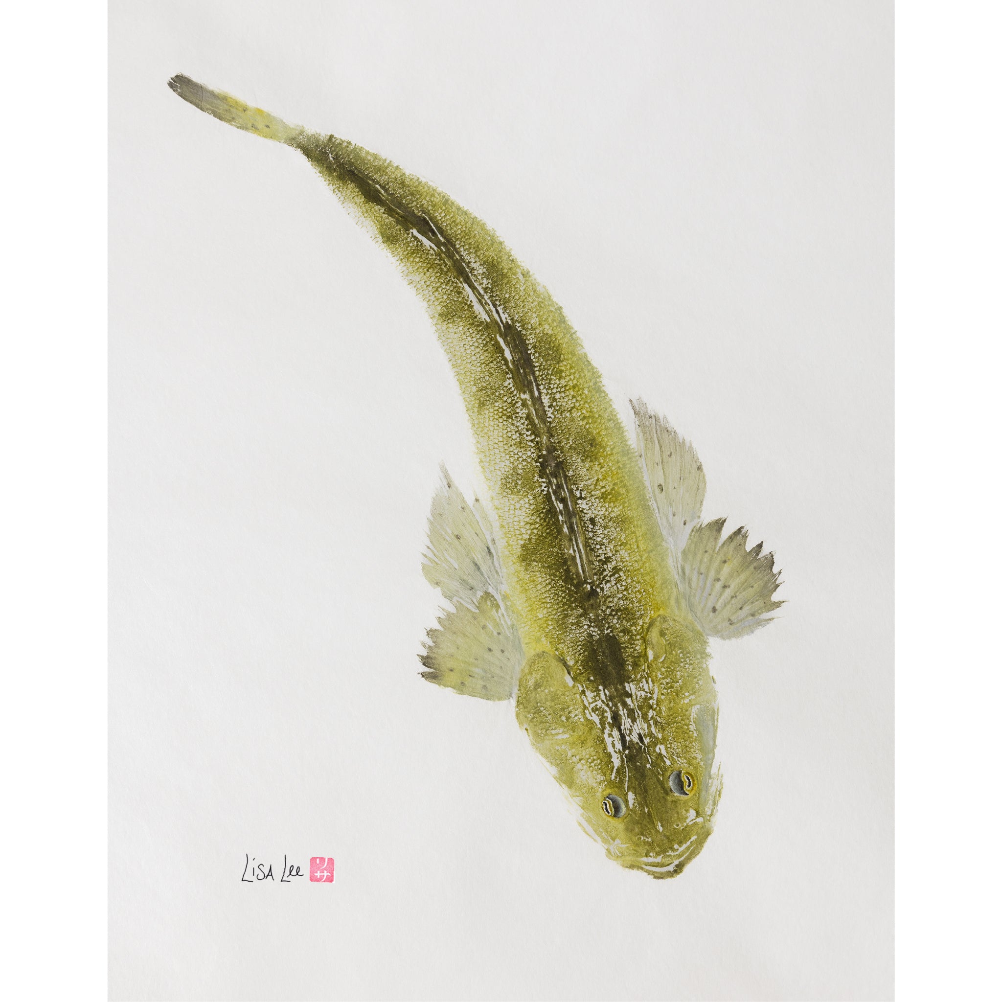 Sea Robin