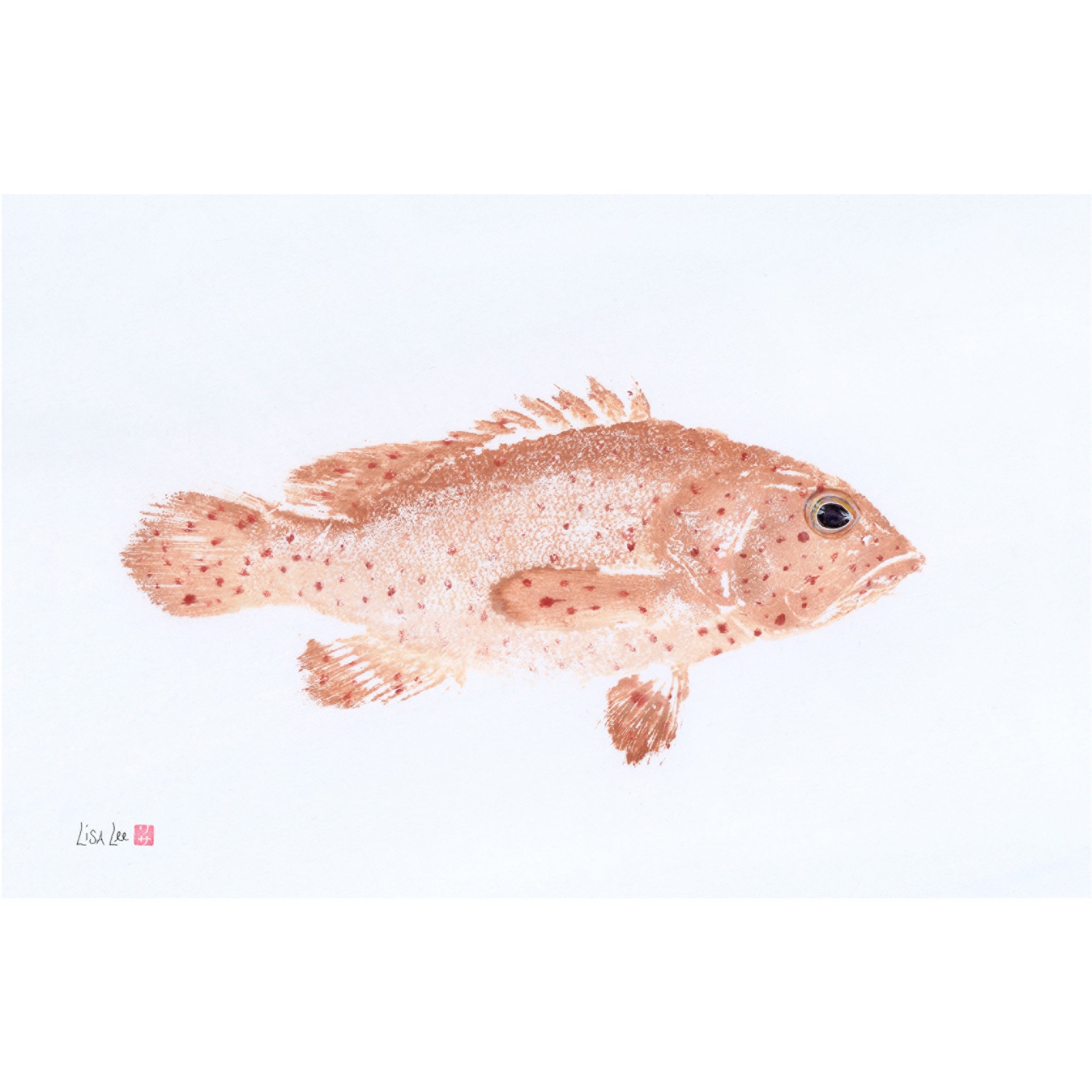 Strawberry Grouper