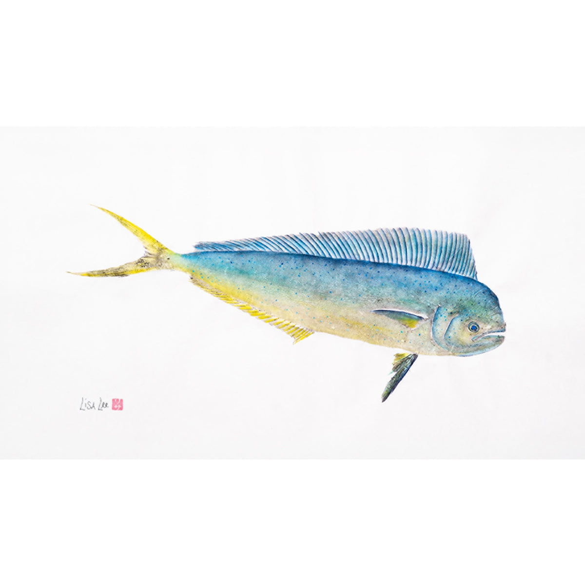 Young Bull Mahi