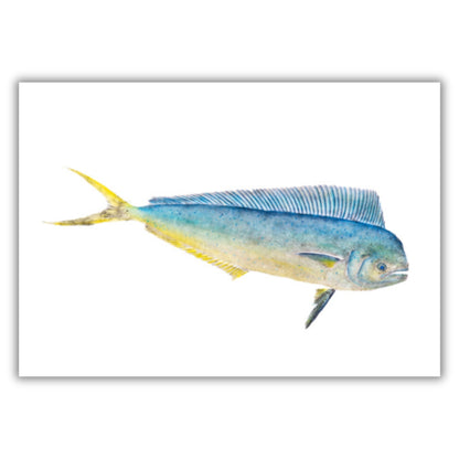 Fine Art Notecards
