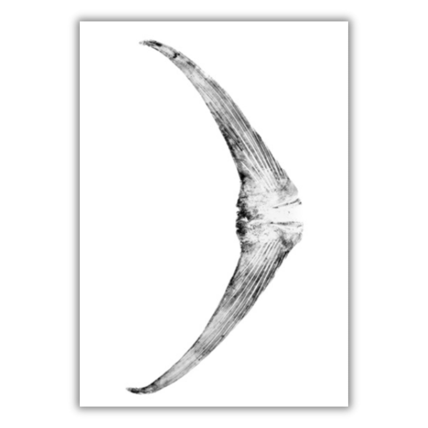 Fine Art Notecards