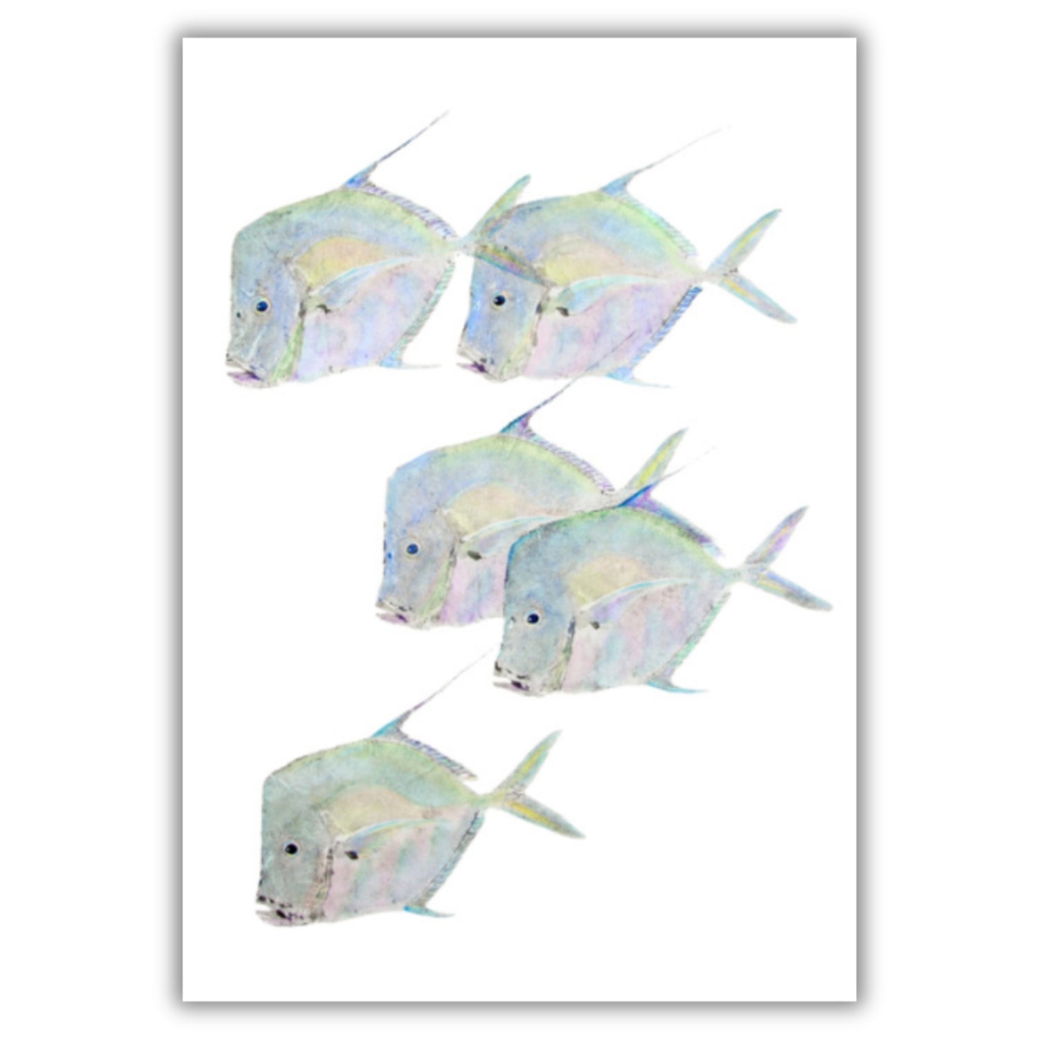 Fine Art Notecards