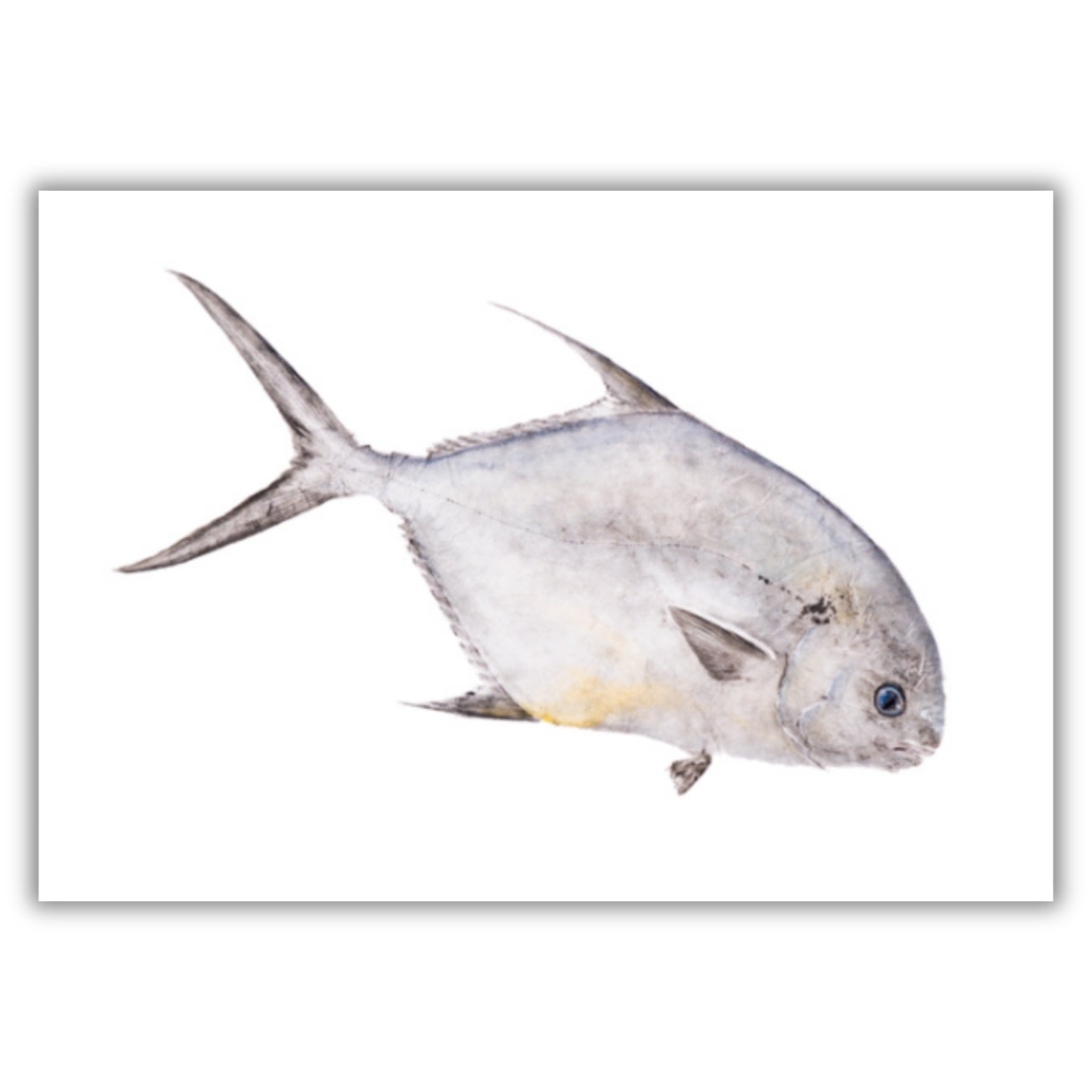 Fine Art Notecards