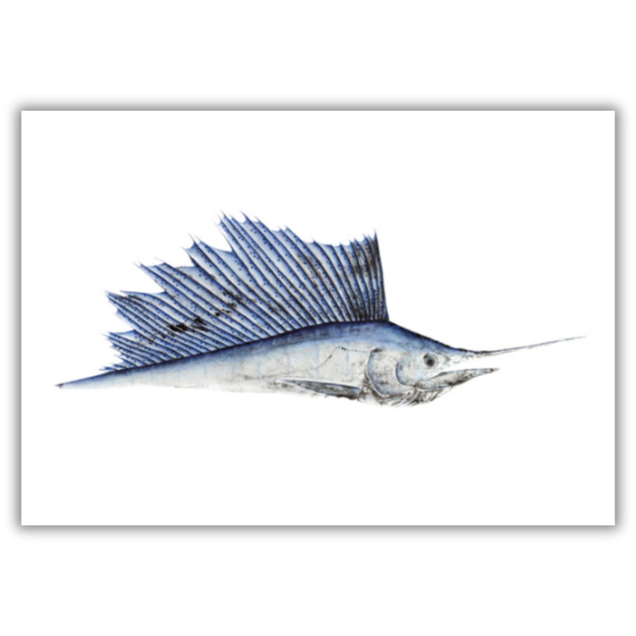 Fine Art Notecards