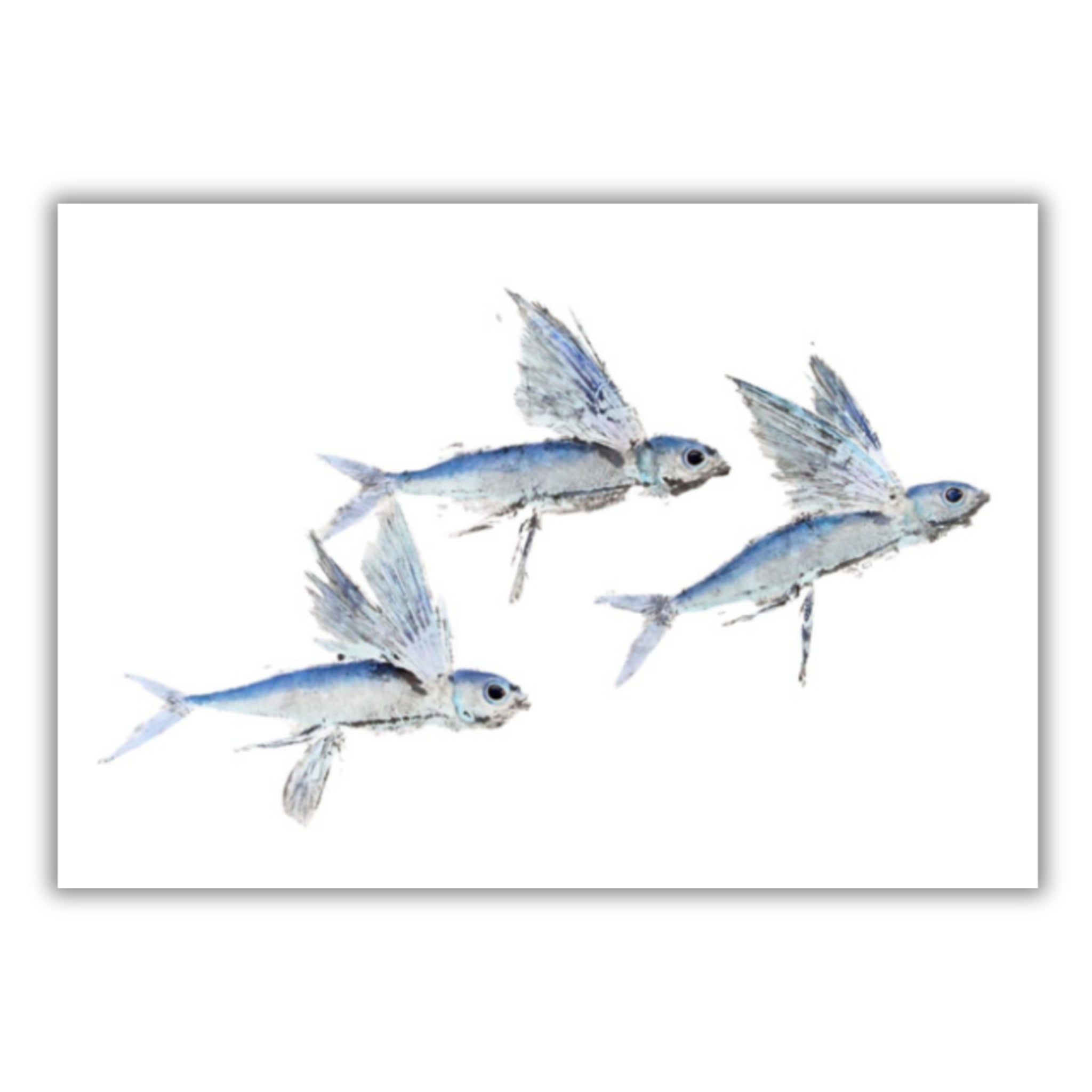 Fine Art Notecards