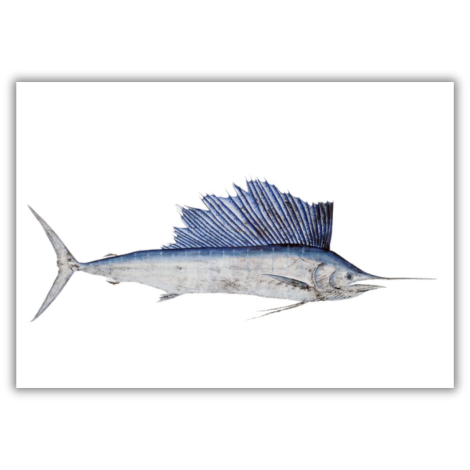 Fine Art Notecards