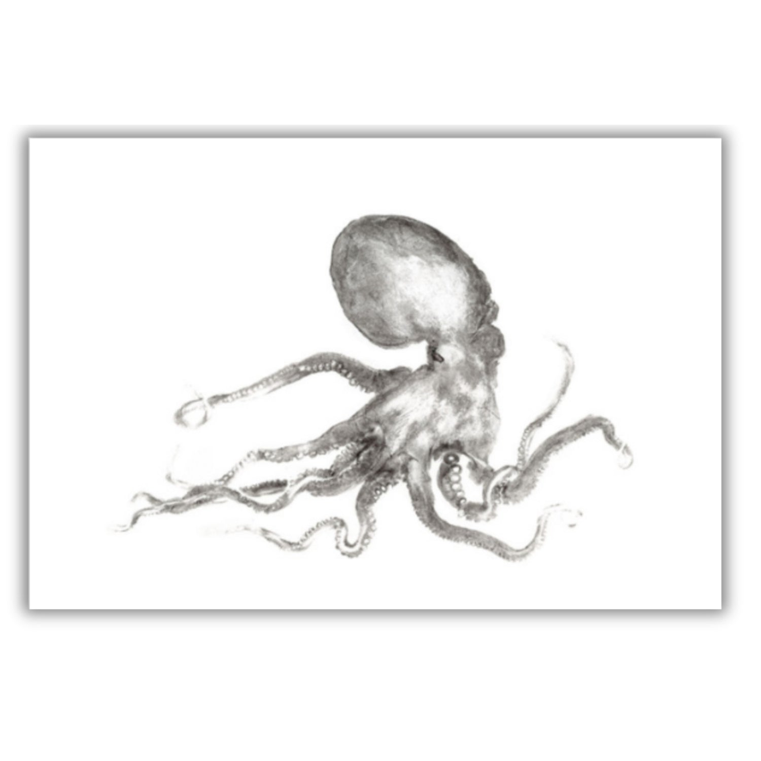 Fine Art Notecards