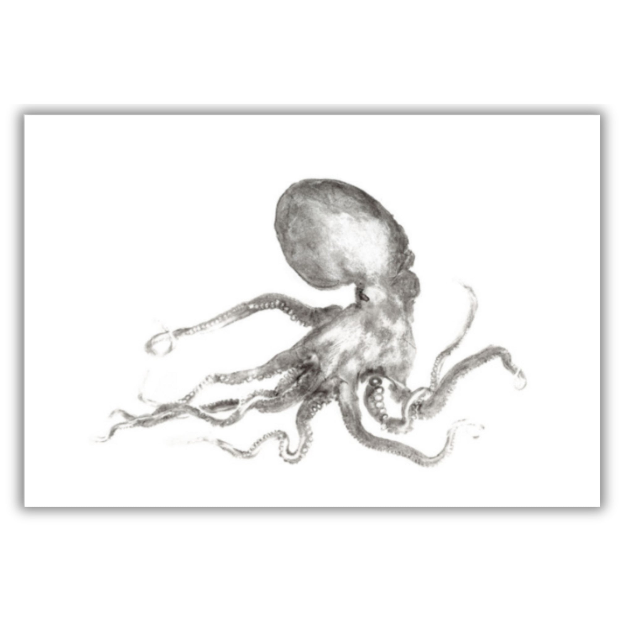 Fine Art Notecards