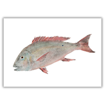 Fine Art Notecards