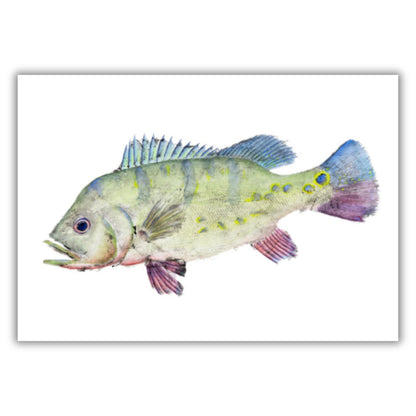 Fine Art Notecards