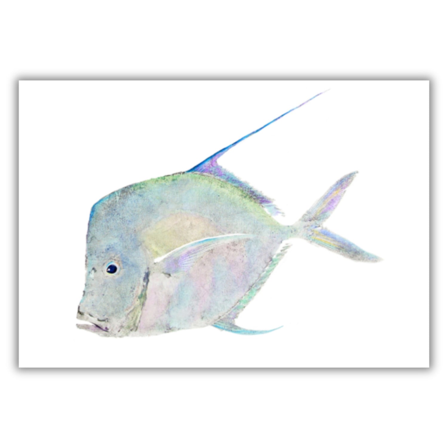 Fine Art Notecards