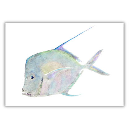 Fine Art Notecards