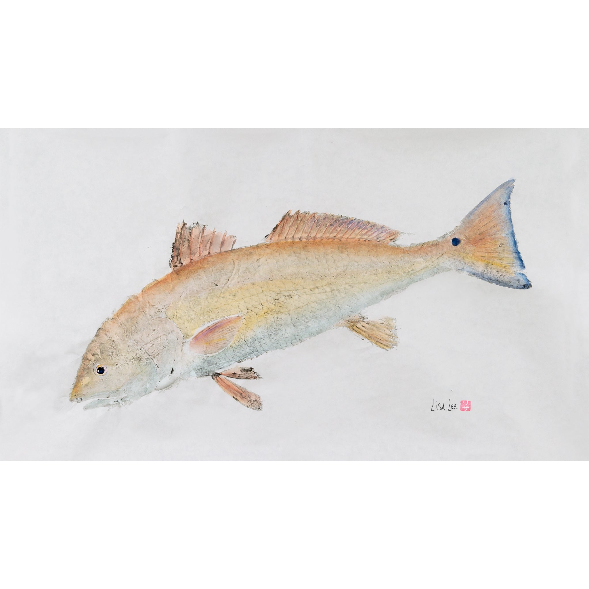 Redfish