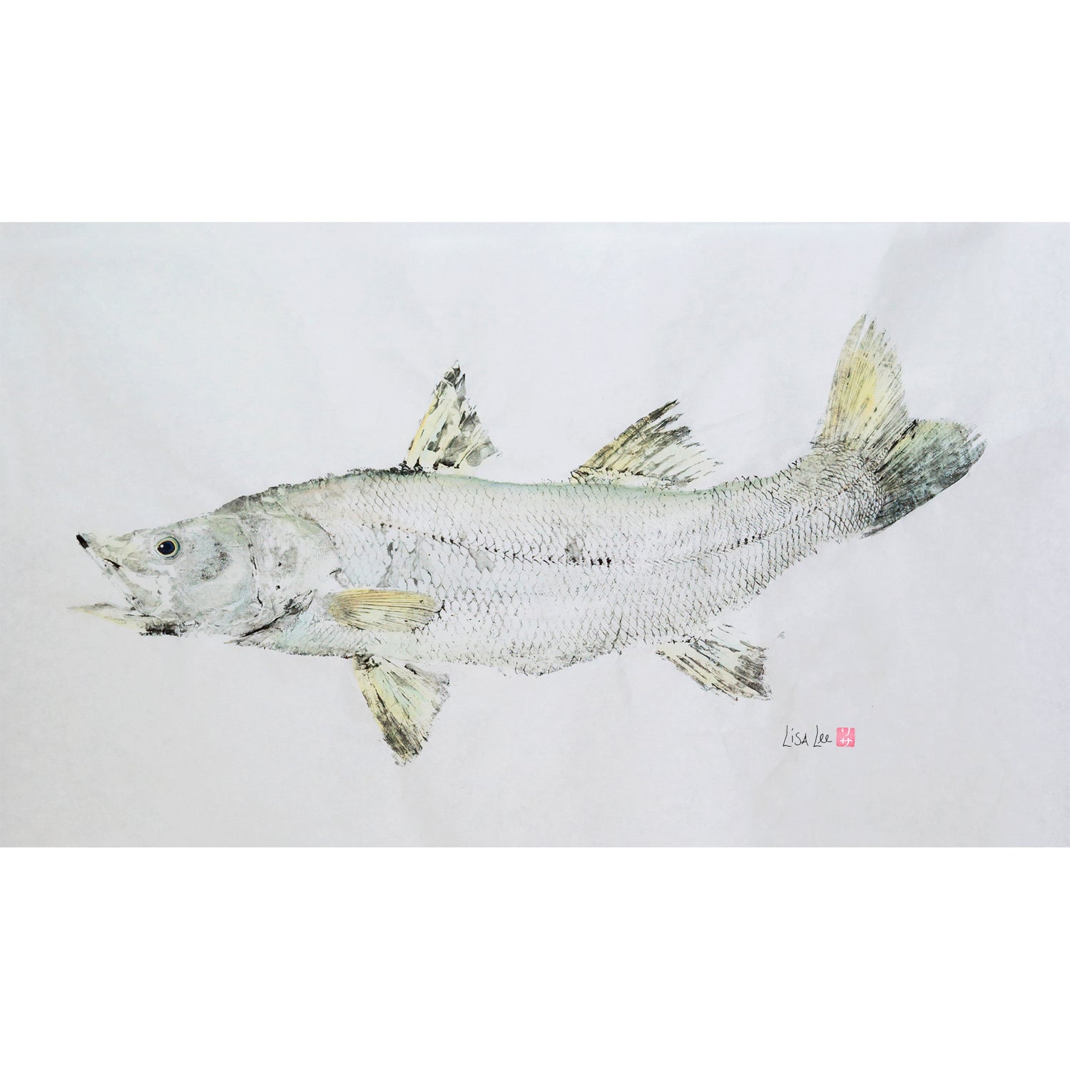 Snook