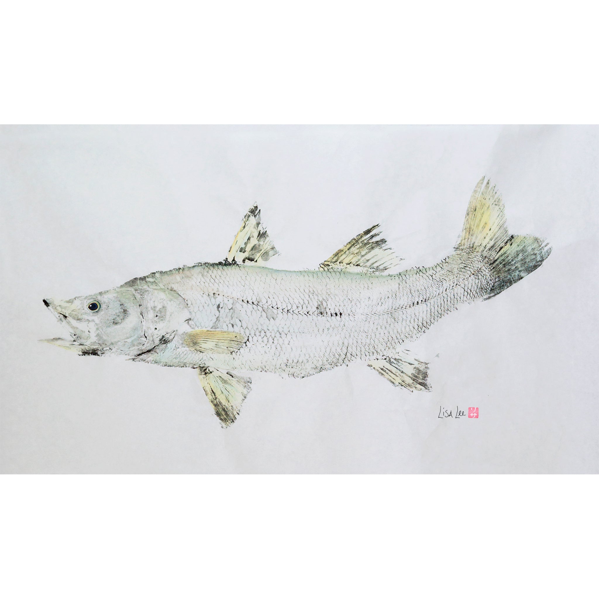 Snook