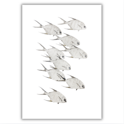 Fine Art Notecards