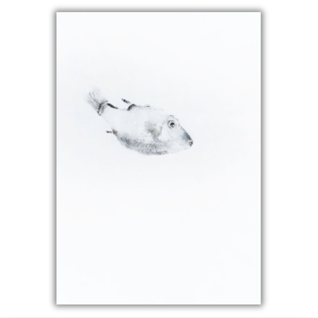 Fine Art Notecards