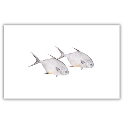 Fine Art Notecards