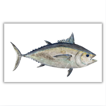 Fine Art Notecards