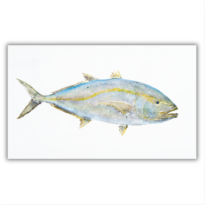 Fine Art Notecards