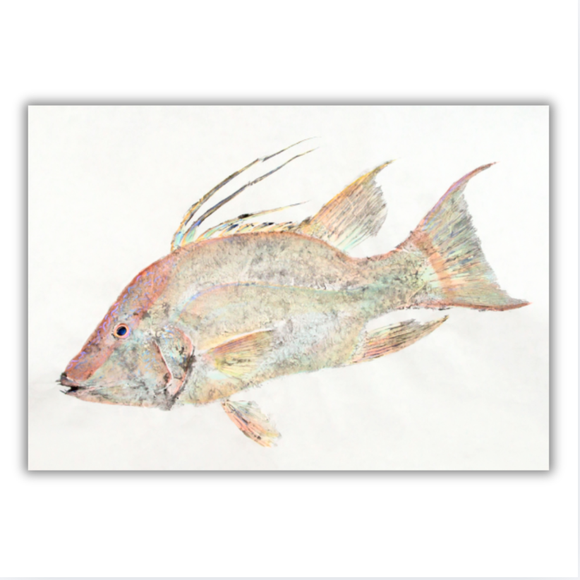 Fine Art Notecards
