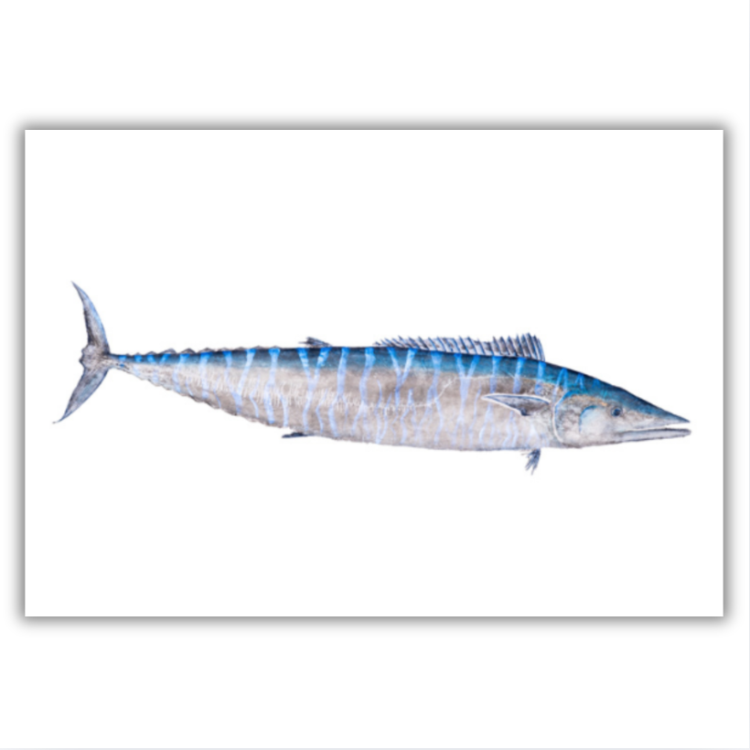 Fine Art Notecards