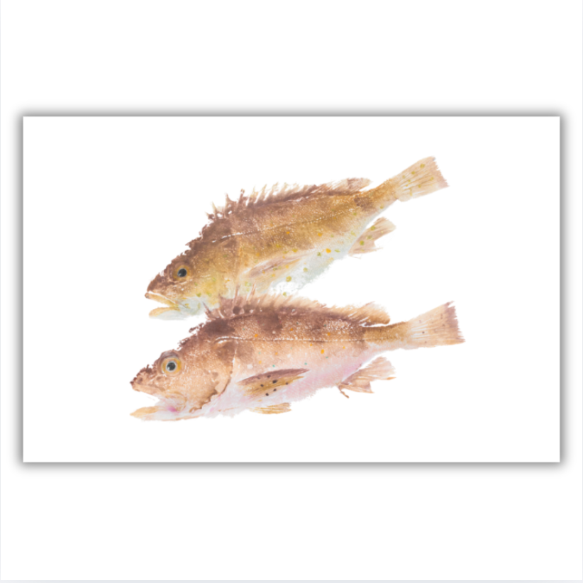 Fine Art Notecards