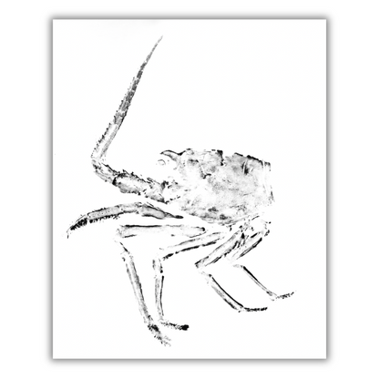 Fine Art Notecards