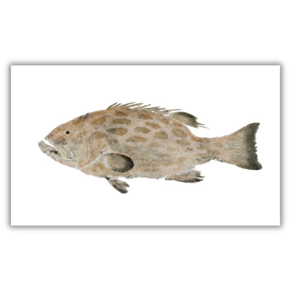 Fine Art Notecards