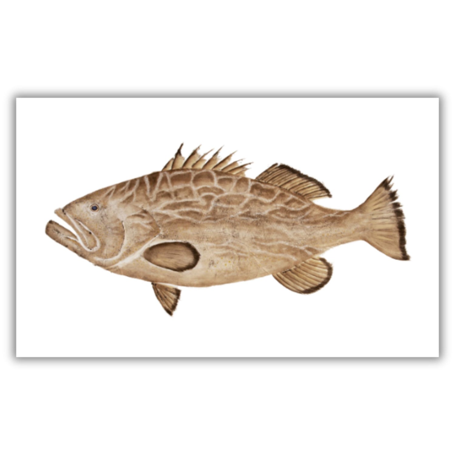 Fine Art Notecards