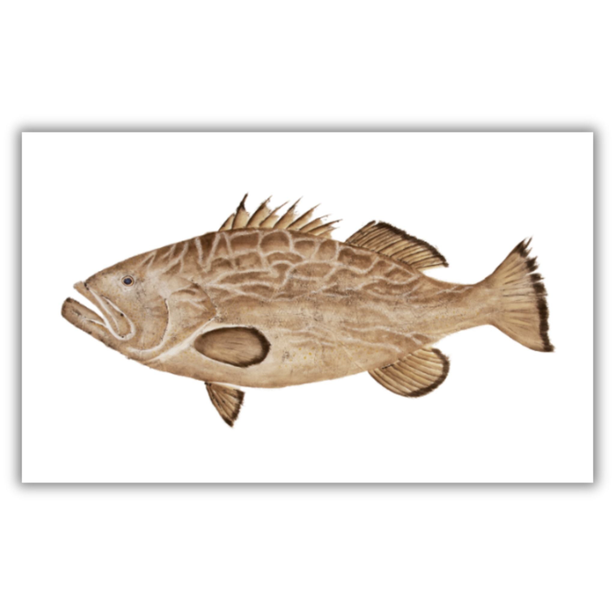 Fine Art Notecards