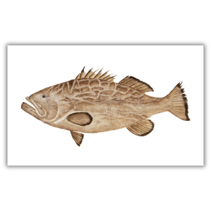Fine Art Notecards