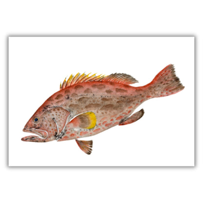 Fine Art Notecards
