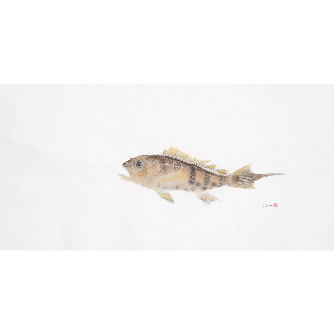 Bank Sea Bass
