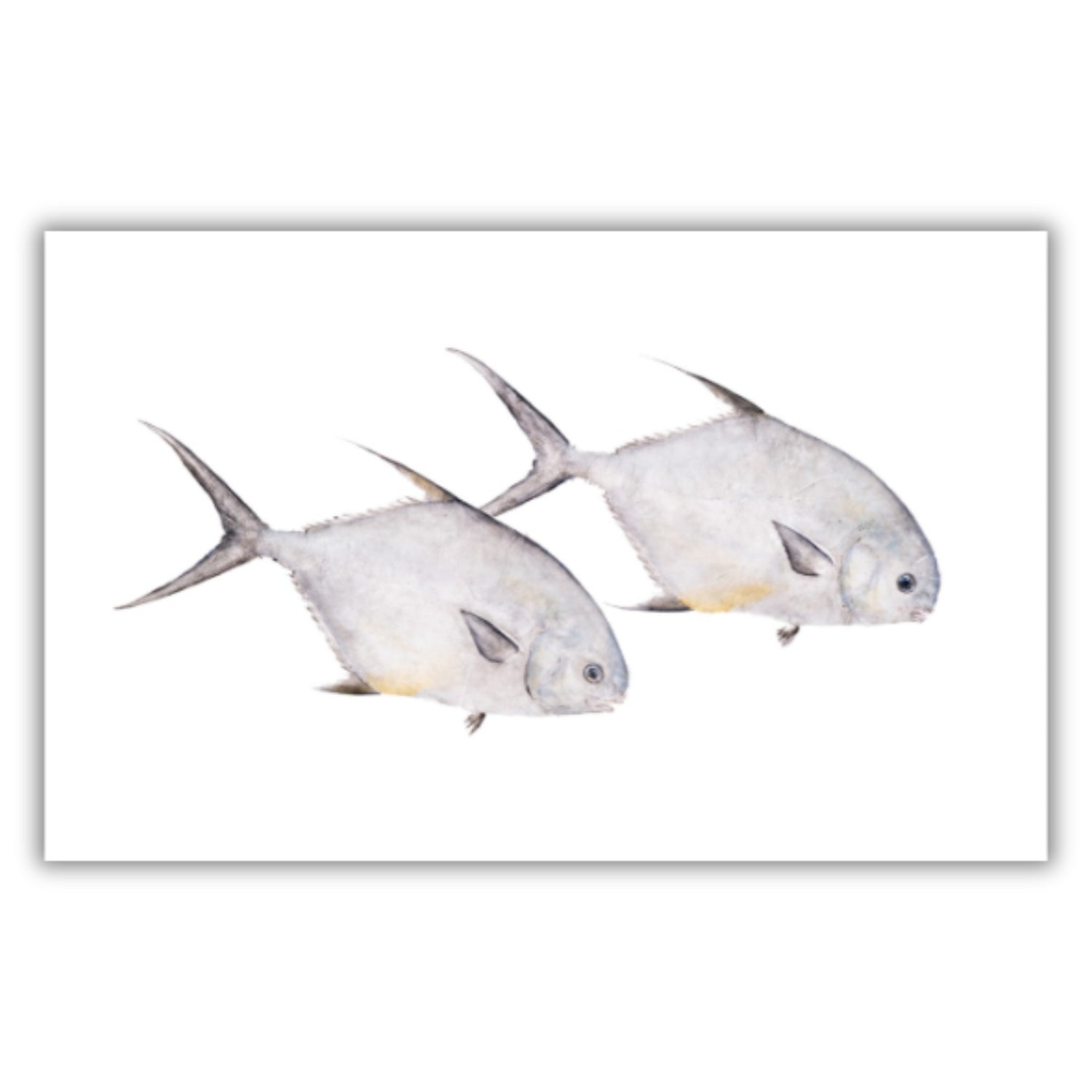 Fine Art Notecards