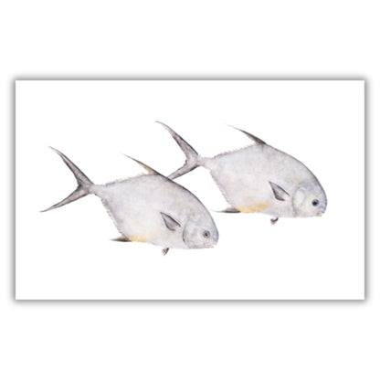 Fine Art Notecards