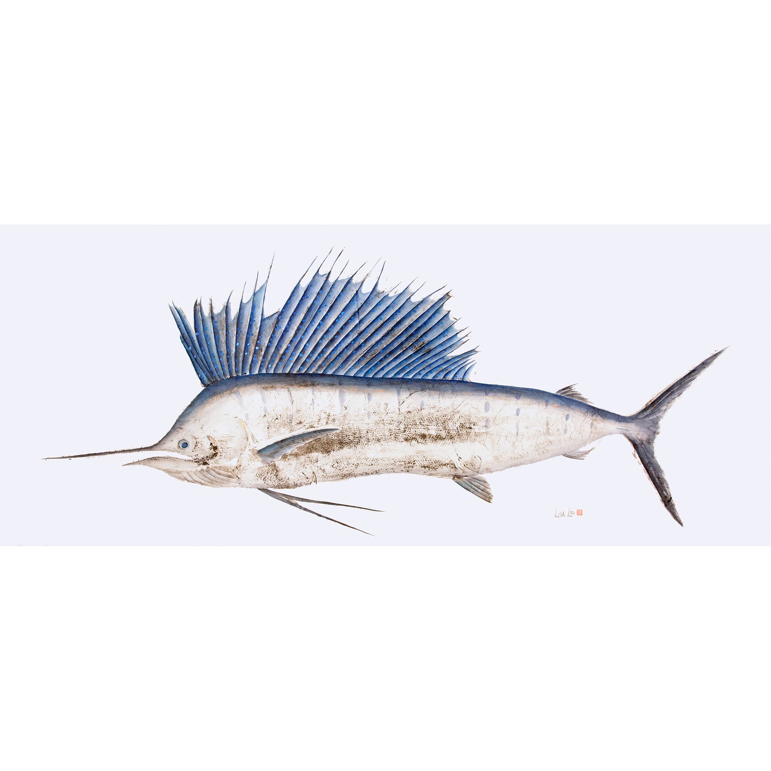 Full Sailfish