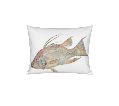 Hogfish Pillow Large