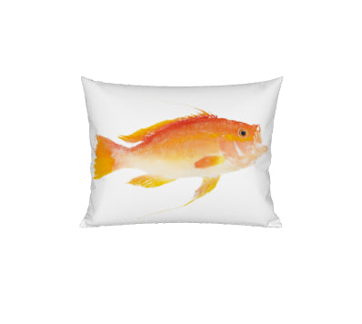Longtail Bass Pillow Large