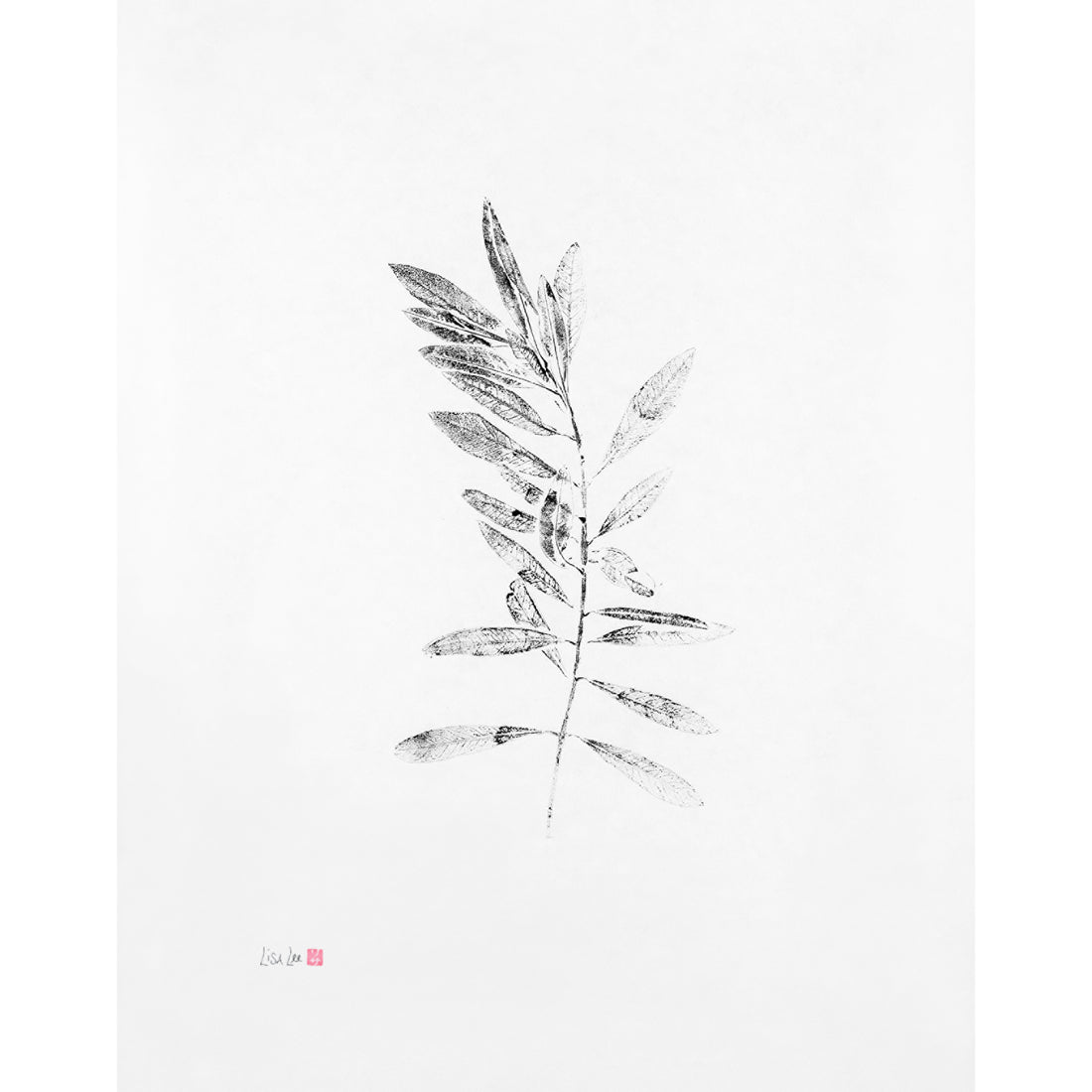 Olive Branch Single