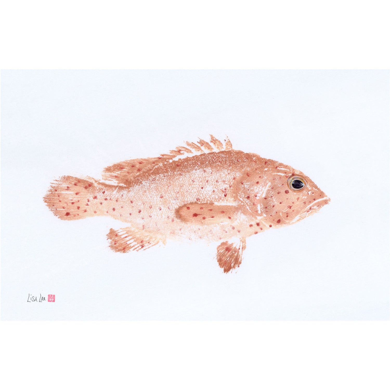 Strawberry Grouper