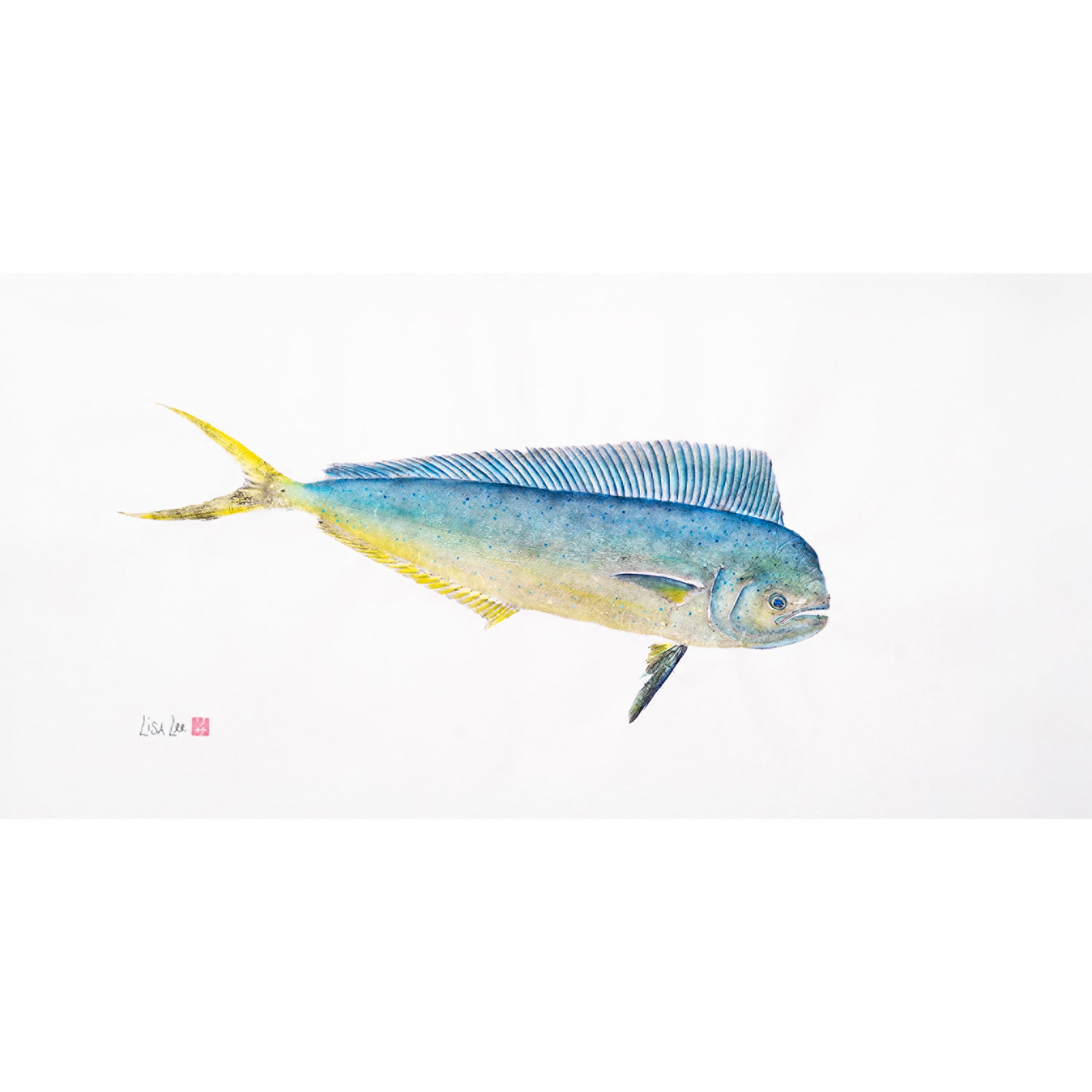 Young Bull Mahi